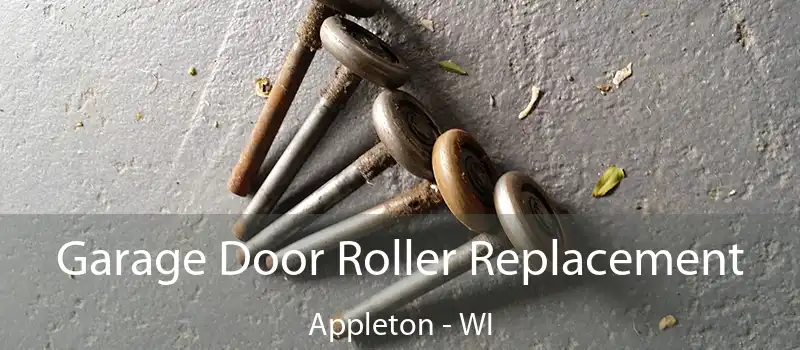  Garage Door Roller Replacement Appleton - WI