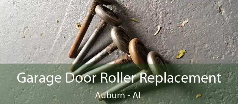  Garage Door Roller Replacement Auburn - AL