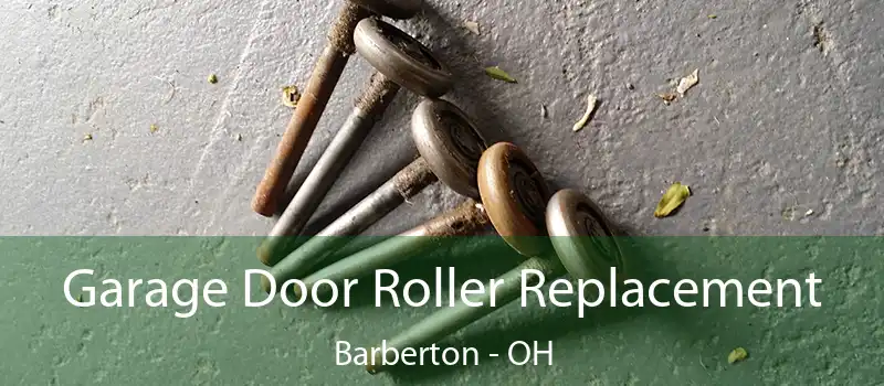  Garage Door Roller Replacement Barberton - OH