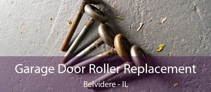  Garage Door Roller Replacement Belvidere - IL