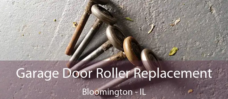  Garage Door Roller Replacement Bloomington - IL