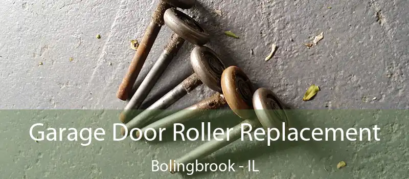  Garage Door Roller Replacement Bolingbrook - IL