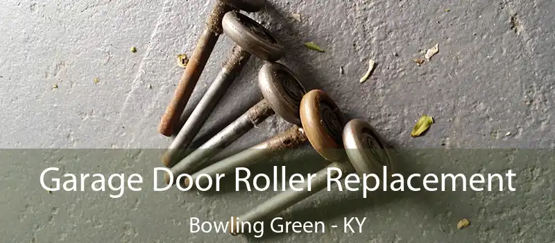  Garage Door Roller Replacement Bowling Green - KY