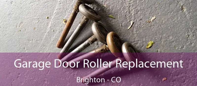  Garage Door Roller Replacement Brighton - CO