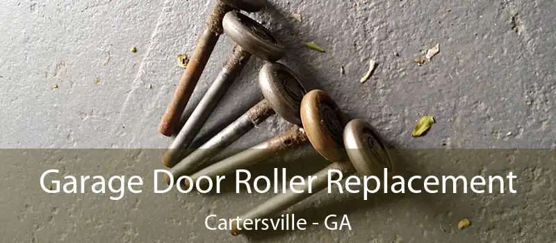  Garage Door Roller Replacement Cartersville - GA