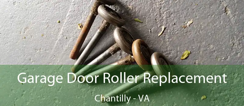  Garage Door Roller Replacement Chantilly - VA