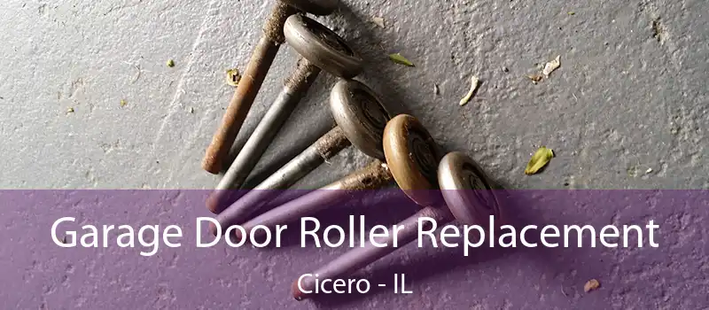  Garage Door Roller Replacement Cicero - IL