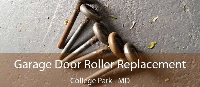  Garage Door Roller Replacement College Park - MD