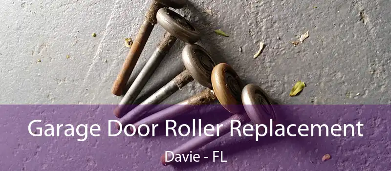  Garage Door Roller Replacement Davie - FL