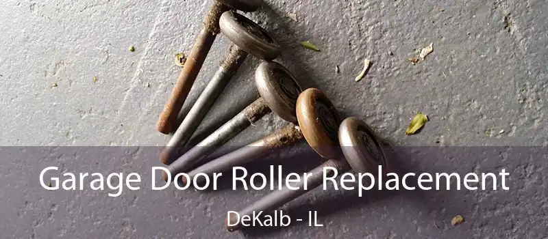  Garage Door Roller Replacement DeKalb - IL