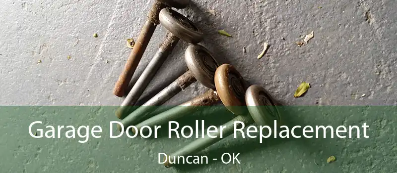  Garage Door Roller Replacement Duncan - OK