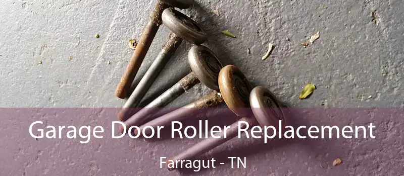  Garage Door Roller Replacement Farragut - TN