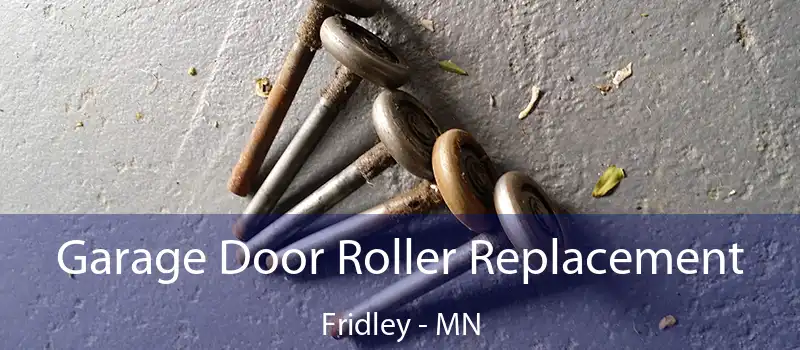  Garage Door Roller Replacement Fridley - MN