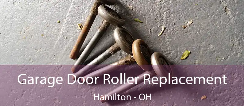  Garage Door Roller Replacement Hamilton - OH