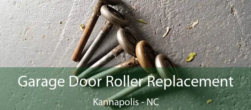  Garage Door Roller Replacement Kannapolis - NC