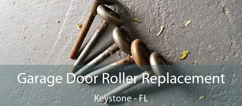  Garage Door Roller Replacement Keystone - FL