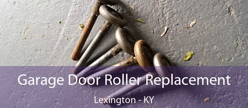  Garage Door Roller Replacement Lexington - KY