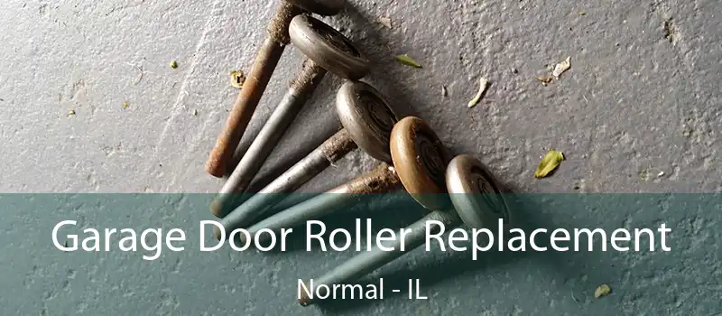  Garage Door Roller Replacement Normal - IL