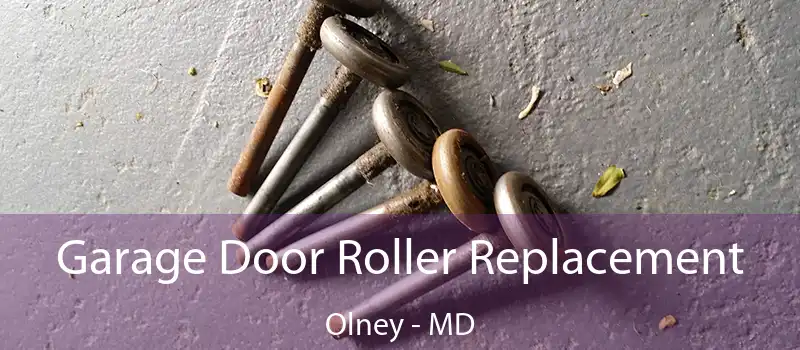  Garage Door Roller Replacement Olney - MD
