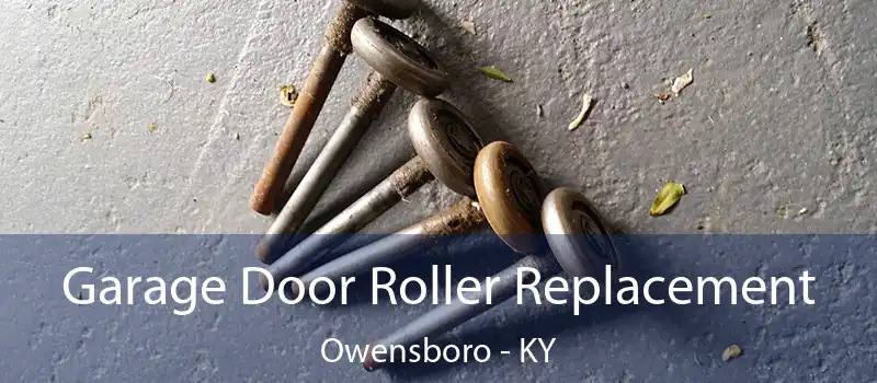 Garage Door Roller Replacement Owensboro - KY