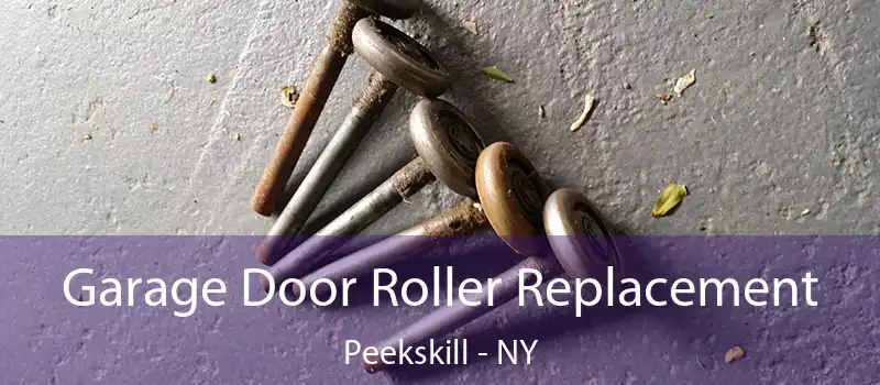  Garage Door Roller Replacement Peekskill - NY