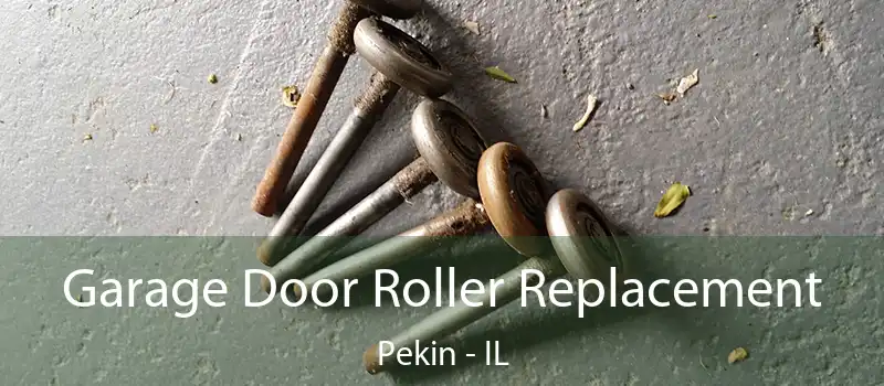  Garage Door Roller Replacement Pekin - IL