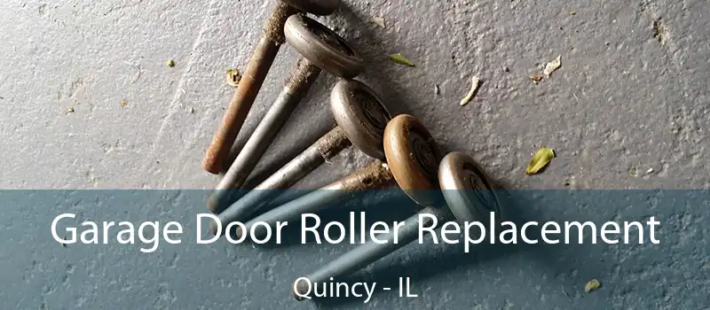  Garage Door Roller Replacement Quincy - IL
