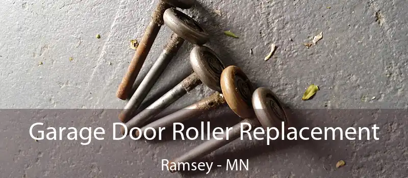 Garage Door Roller Replacement Ramsey - MN