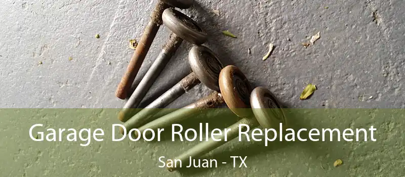  Garage Door Roller Replacement San Juan - TX