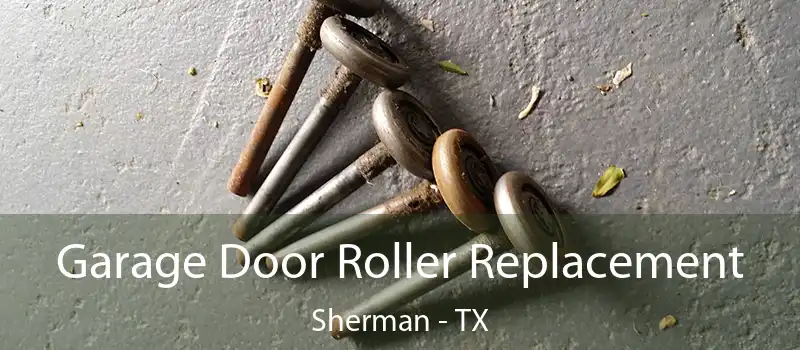  Garage Door Roller Replacement Sherman - TX