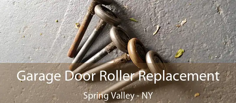  Garage Door Roller Replacement Spring Valley - NY