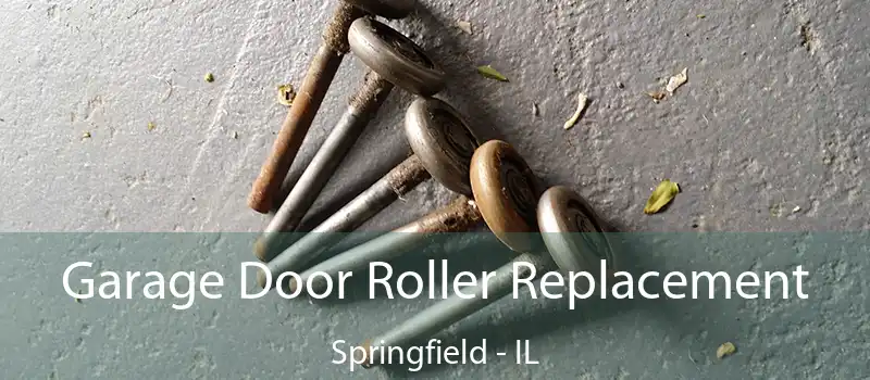  Garage Door Roller Replacement Springfield - IL