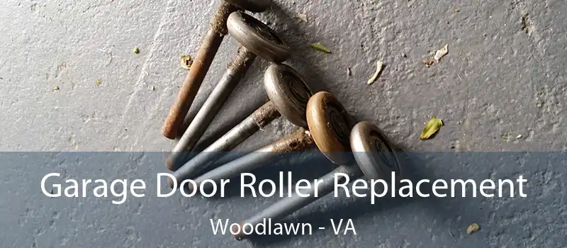  Garage Door Roller Replacement Woodlawn - VA