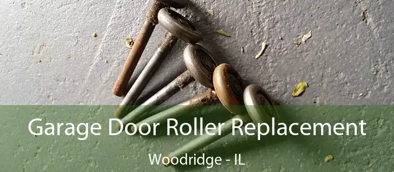  Garage Door Roller Replacement Woodridge - IL