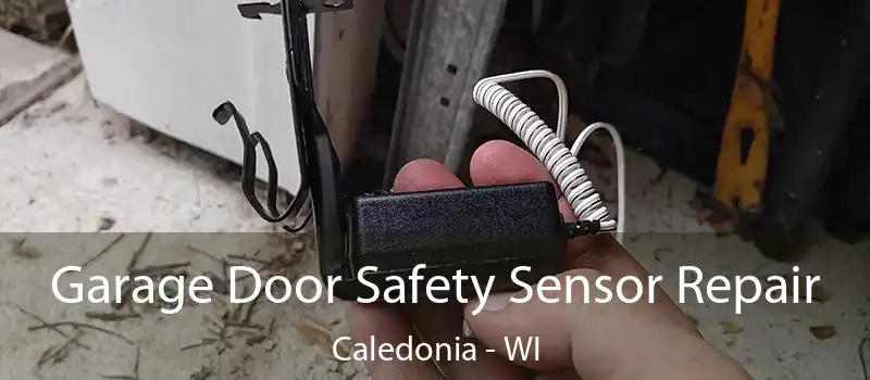  Garage Door Safety Sensor Repair Caledonia - WI