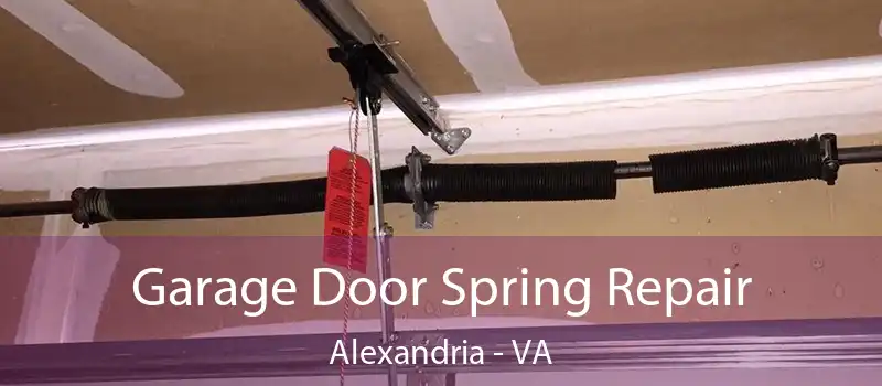  Garage Door Spring Repair Alexandria - VA