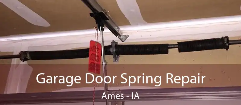  Garage Door Spring Repair Ames - IA