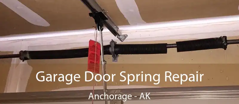  Garage Door Spring Repair Anchorage - AK