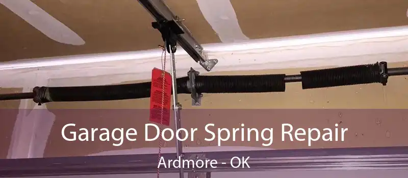  Garage Door Spring Repair Ardmore - OK