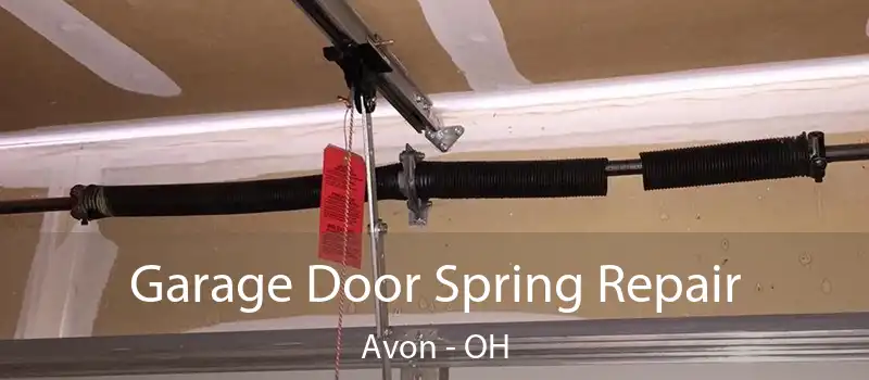  Garage Door Spring Repair Avon - OH