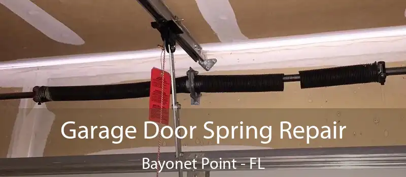  Garage Door Spring Repair Bayonet Point - FL