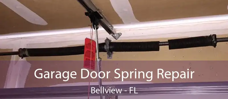  Garage Door Spring Repair Bellview - FL