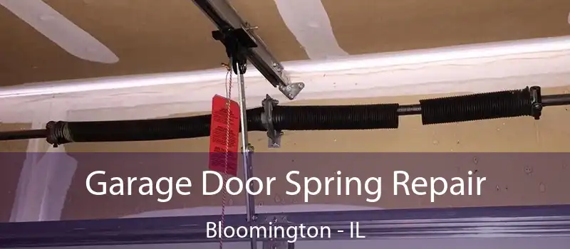 Garage Door Spring Repair Bloomington - IL