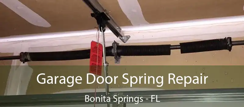  Garage Door Spring Repair Bonita Springs - FL