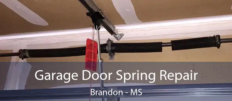  Garage Door Spring Repair Brandon - MS