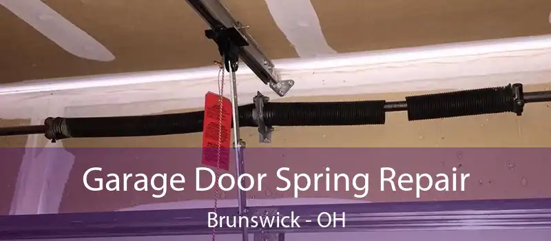  Garage Door Spring Repair Brunswick - OH