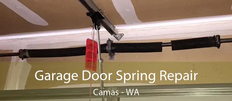 Garage Door Spring Repair Camas - WA