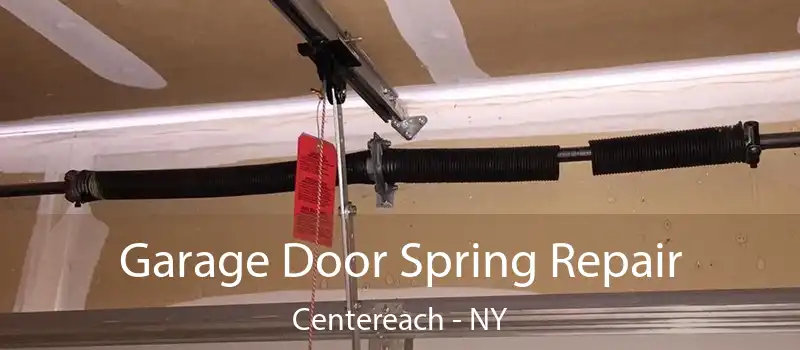  Garage Door Spring Repair Centereach - NY
