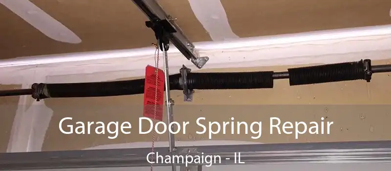 Garage Door Spring Repair Champaign - IL