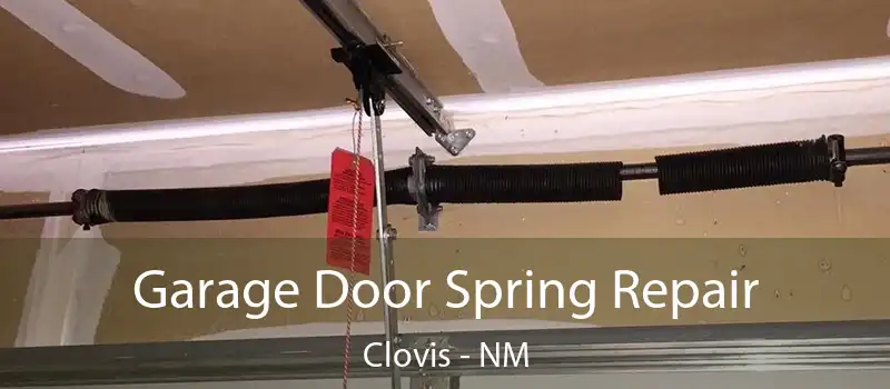  Garage Door Spring Repair Clovis - NM